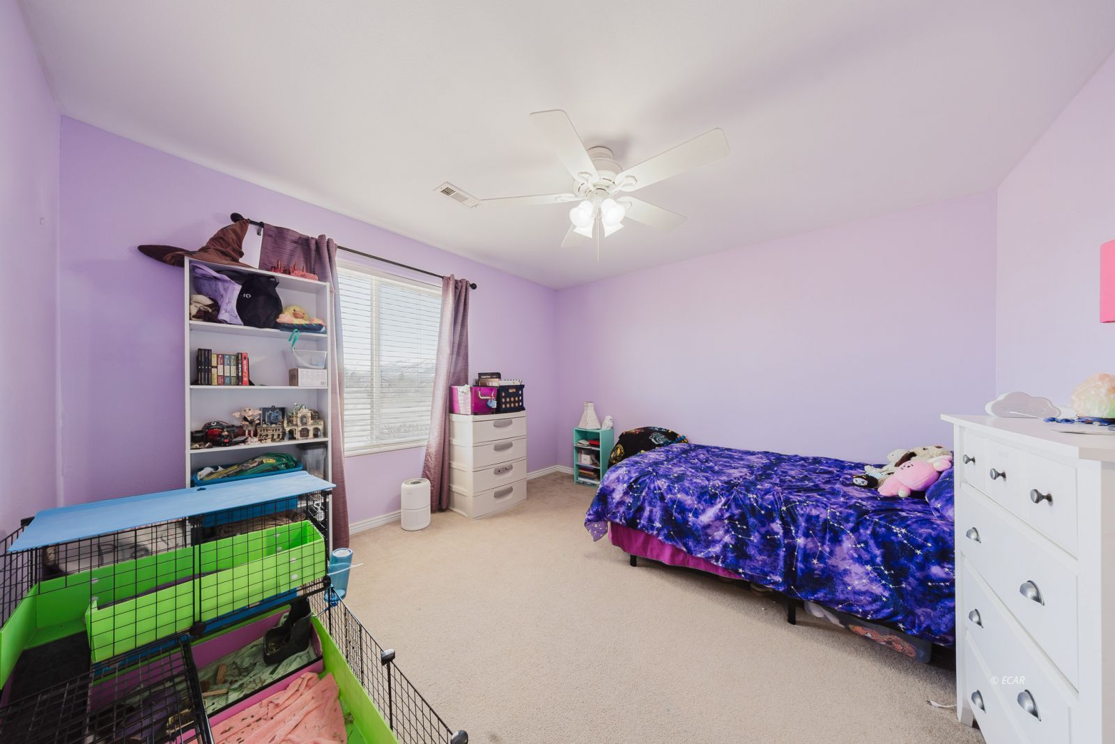 791 Thistle Drive Property Photo 17