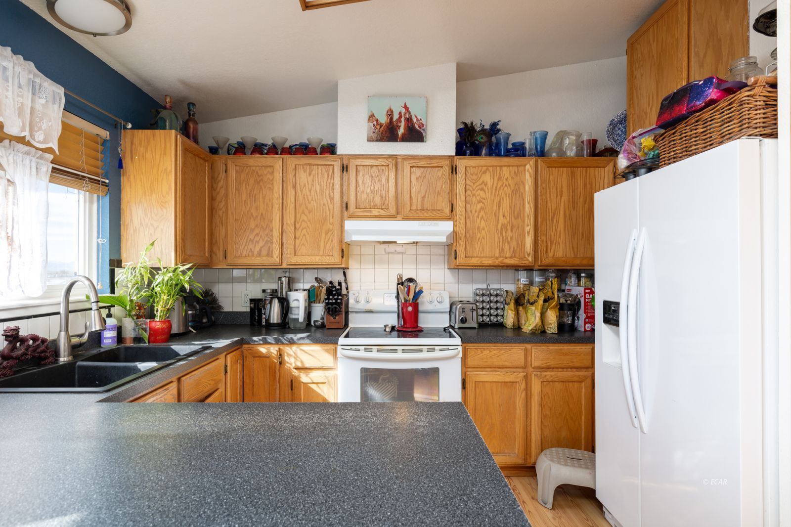 491 Blakeland Drive Property Photo 12
