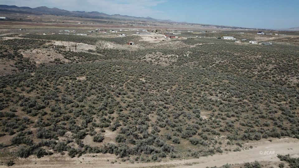 Purcell St Property Photo 2