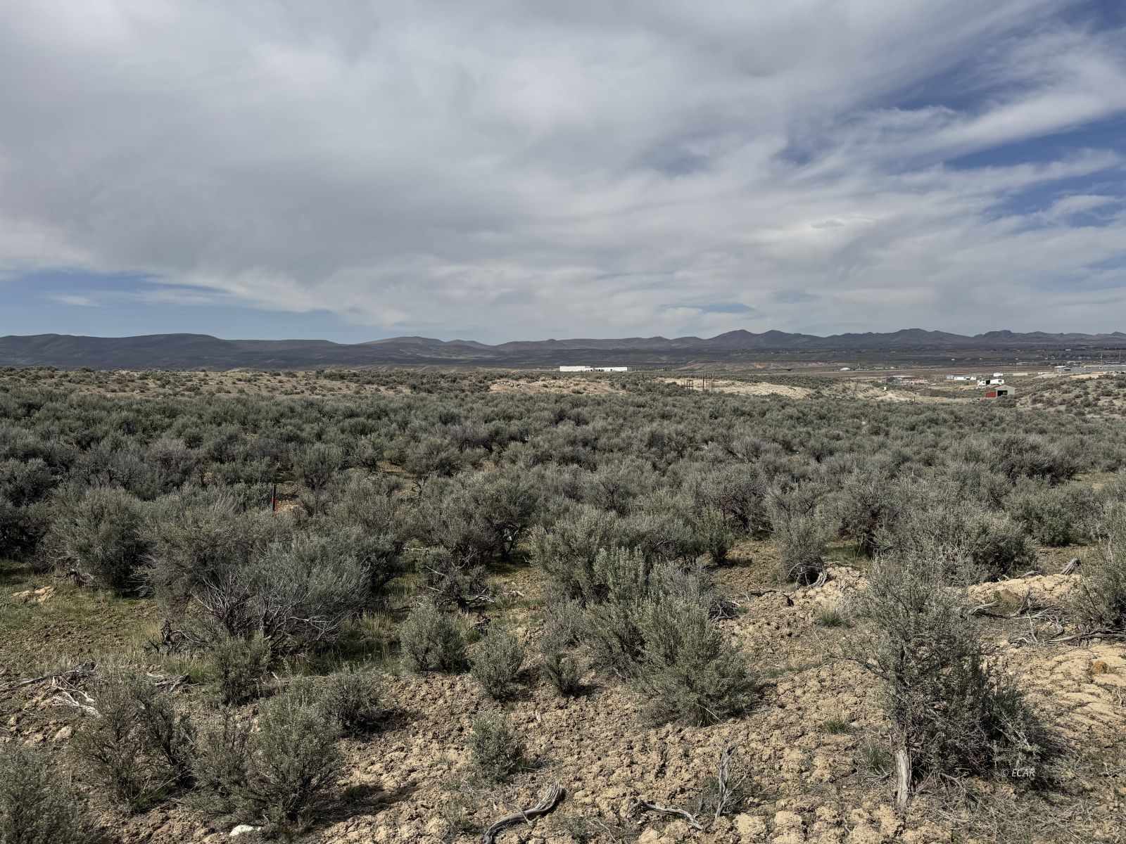 Purcell St Property Photo 11