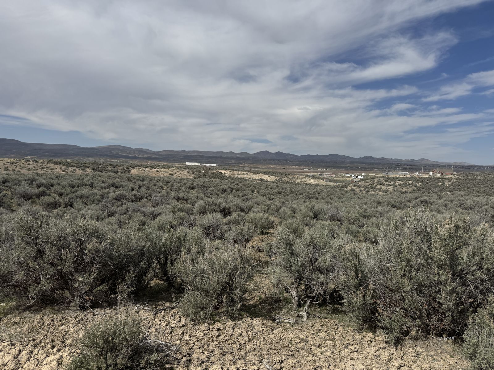 Purcell St Property Photo 12