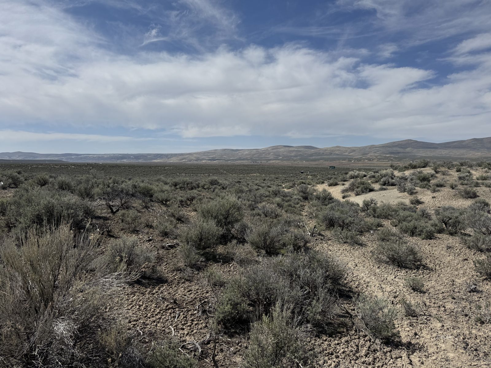 Gravelly Street Property Photo 1