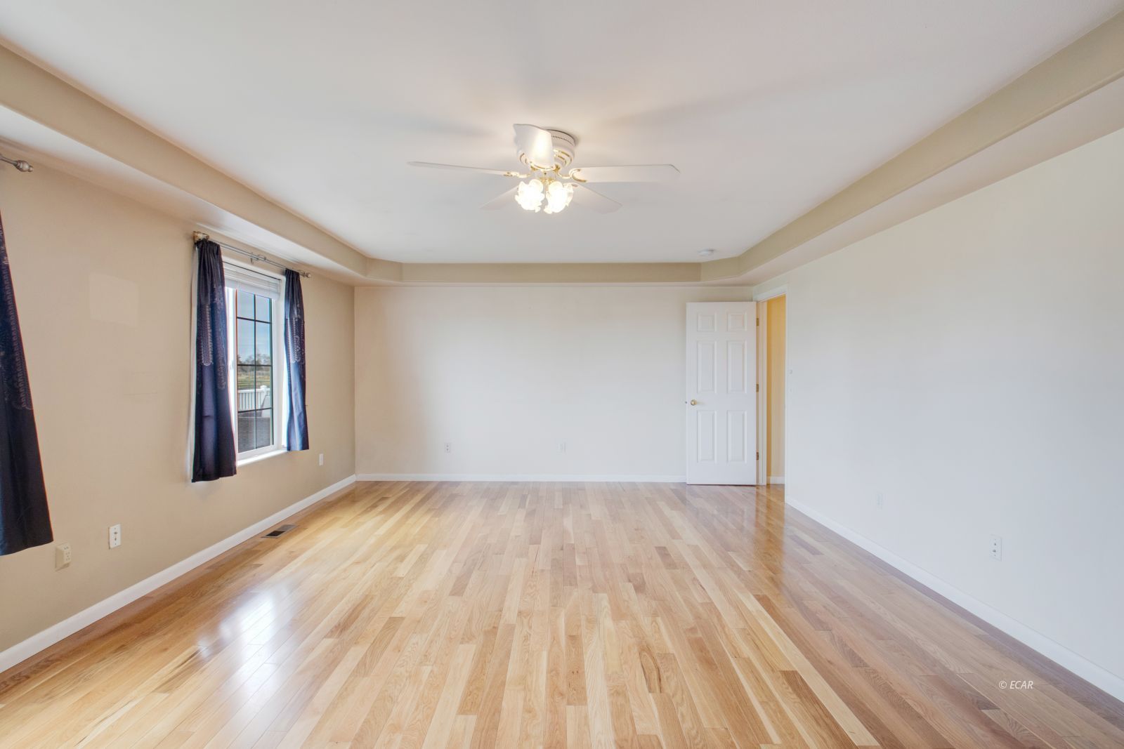 907 Palace Parkway Property Photo 12