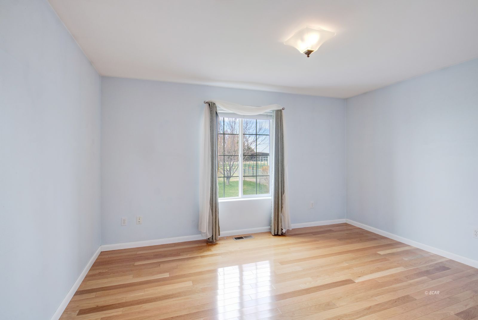 907 Palace Parkway Property Photo 22
