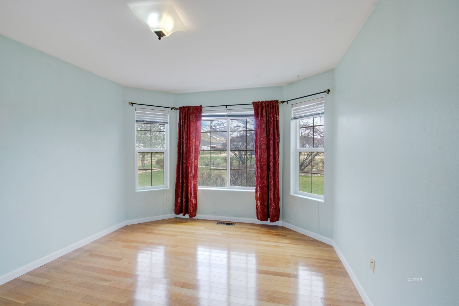 907 Palace Parkway Property Photo 25