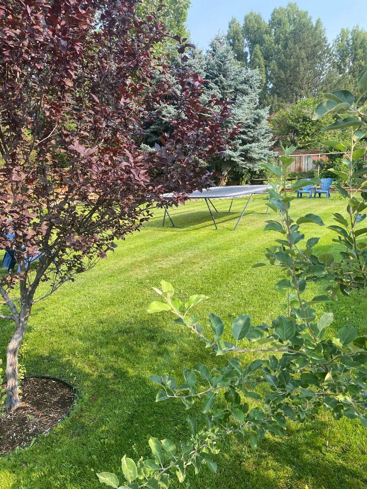 3121 Scenic View Drive Property Photo 48