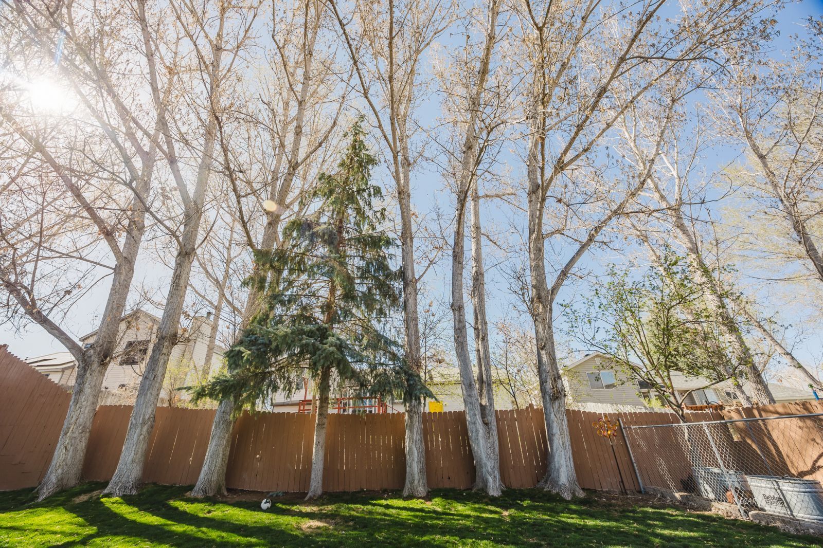 609 Pinecone Circle Property Photo 30