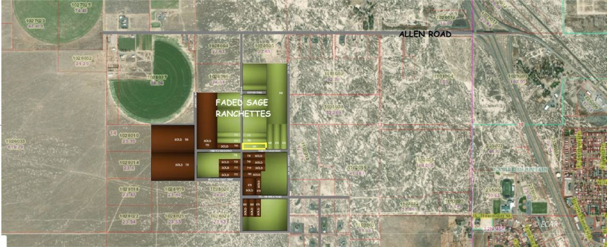 685 Painted Sage Drive Property Photo 2