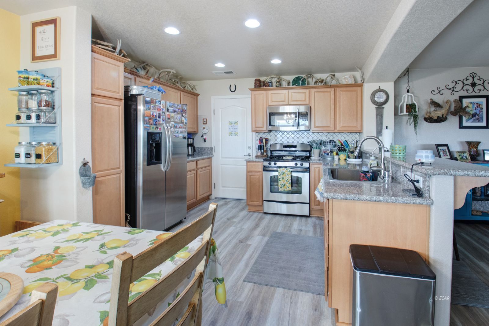 1152 Hamilton Creek Trail Property Photo 2