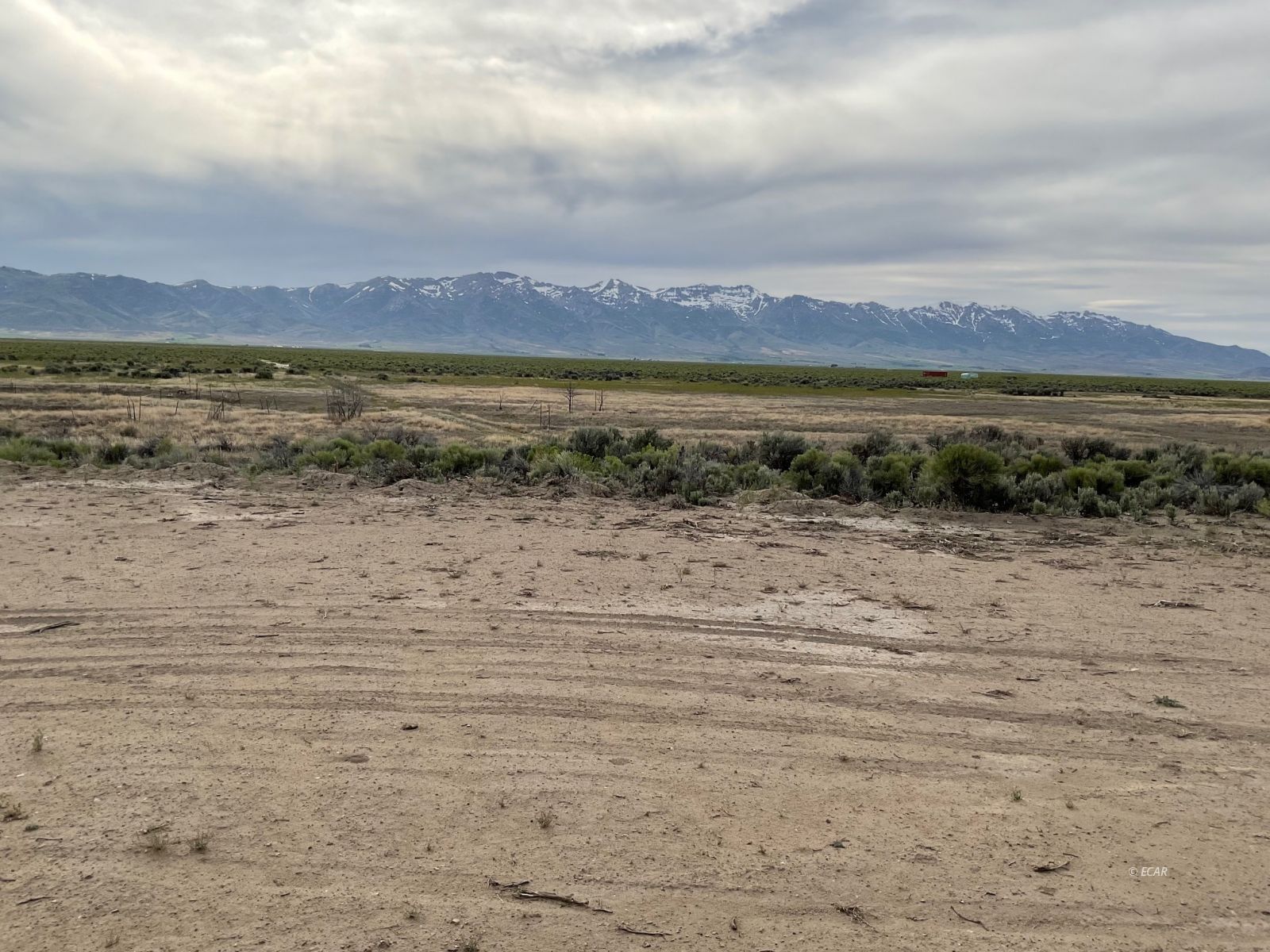 160 Acres Wells Parcel Property Photo 6