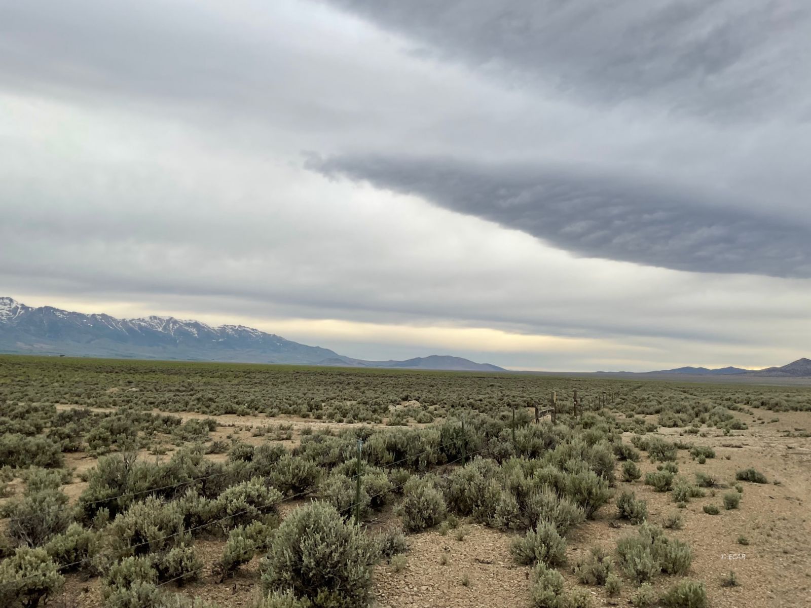 160 Acres Wells Parcel Property Photo 16