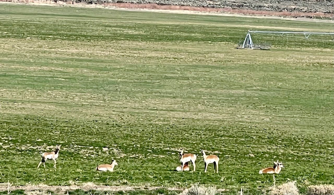 Tdb- 20 Acre Parcel Property Photo 6