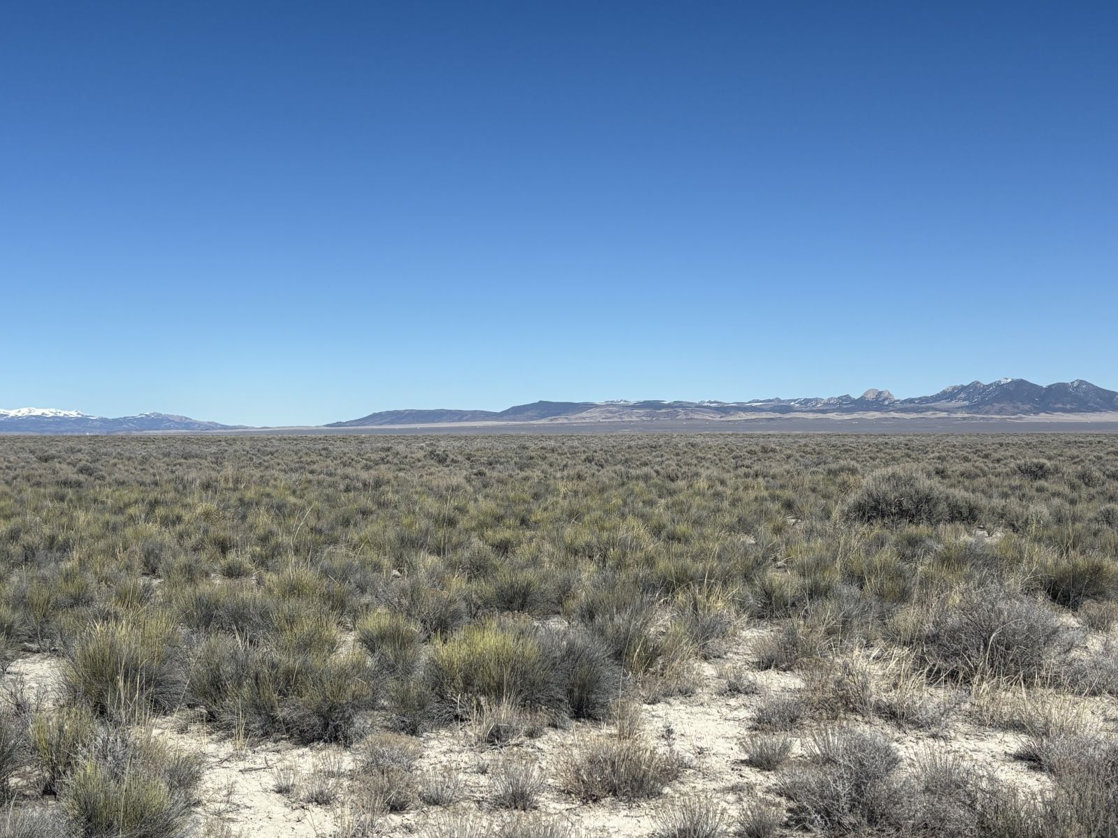 Shafter Rd Property Photo 3