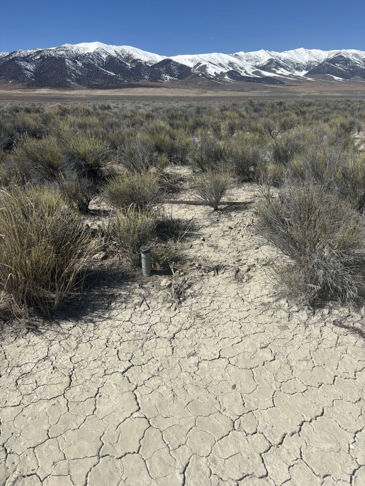 Shafter Rd Property Photo 5
