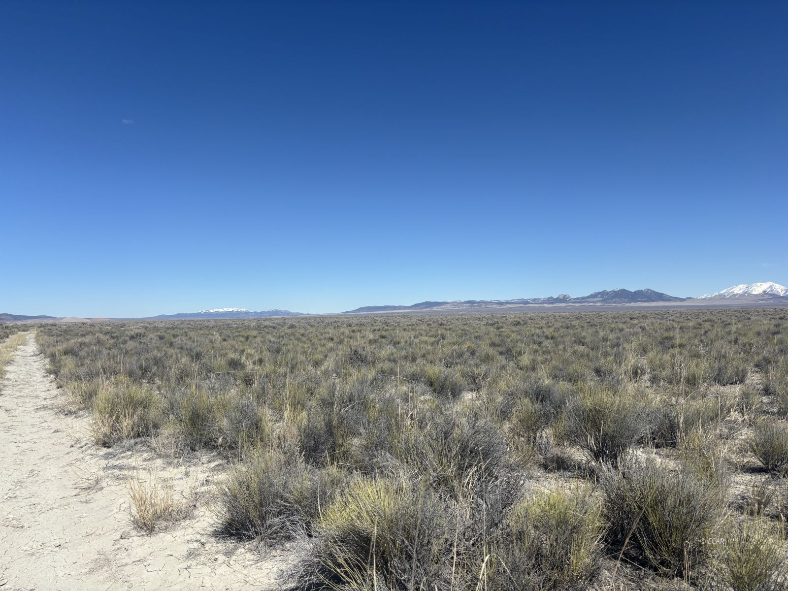 Shafter Rd Property Photo 6
