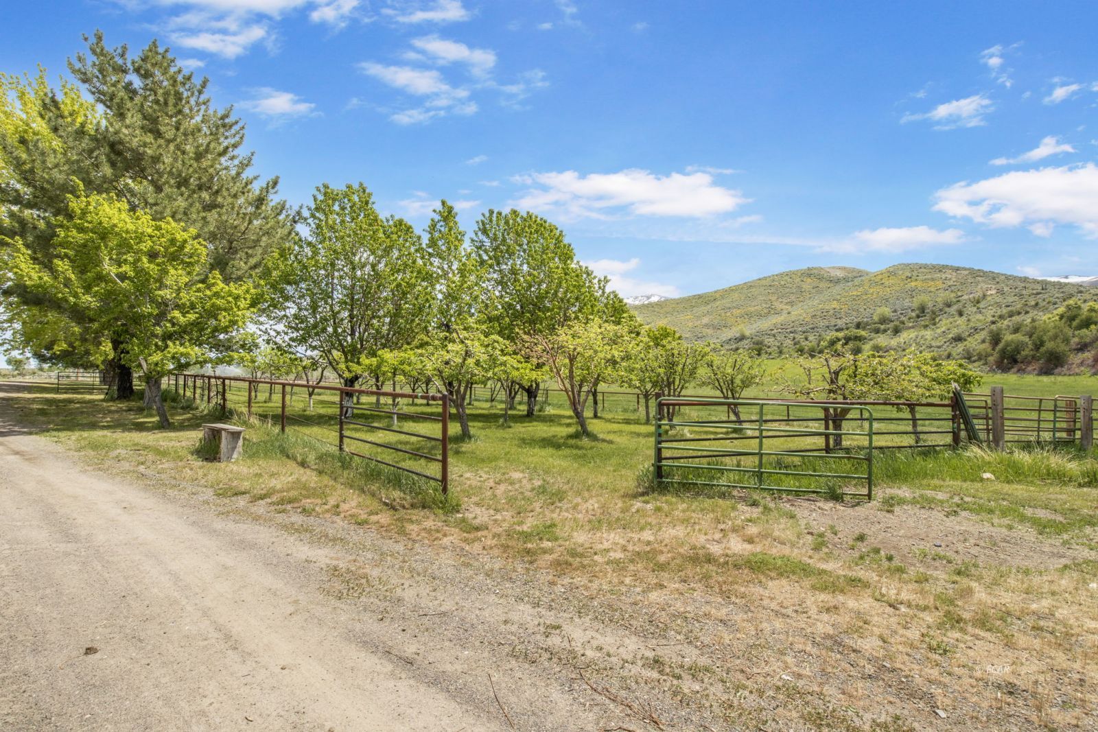Mountain View Camp Road No. 1 Ranch Property Photo 43