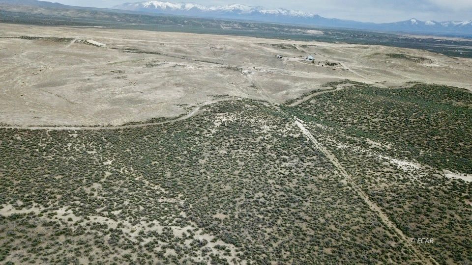 2 Acres 27th Property Photo 4