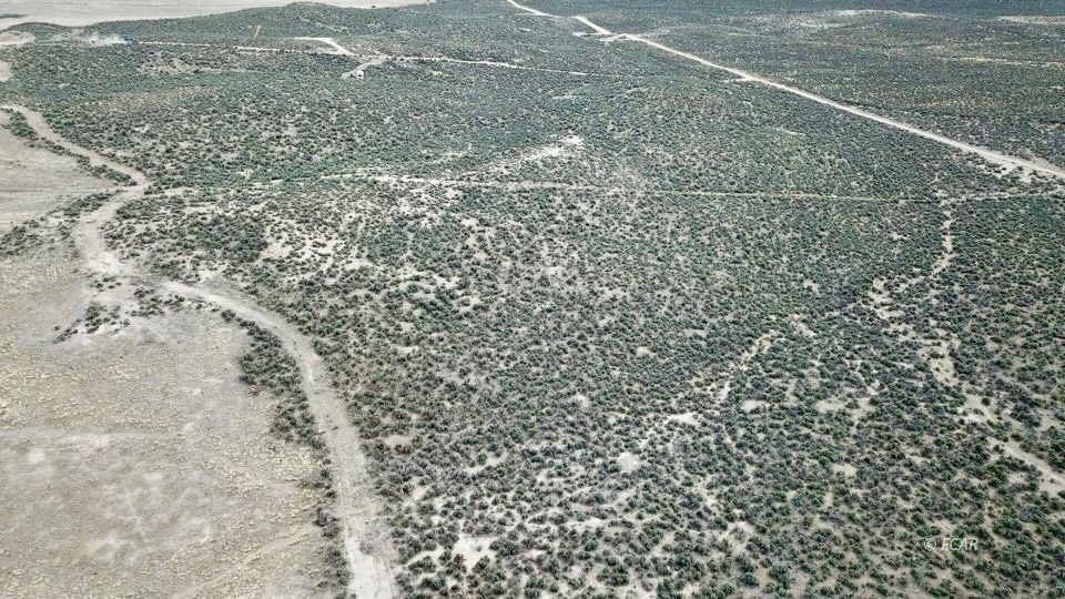 2 Acres 27th Property Photo 5