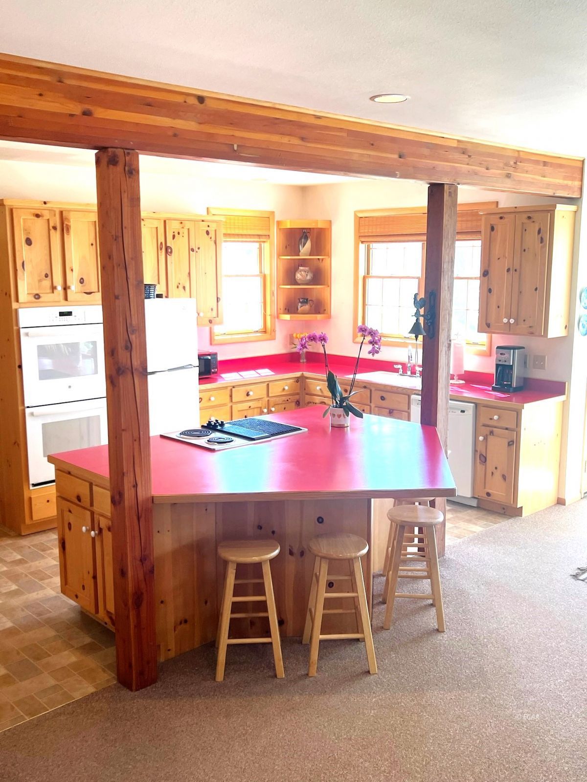 1225 Country Lane Property Photo 12