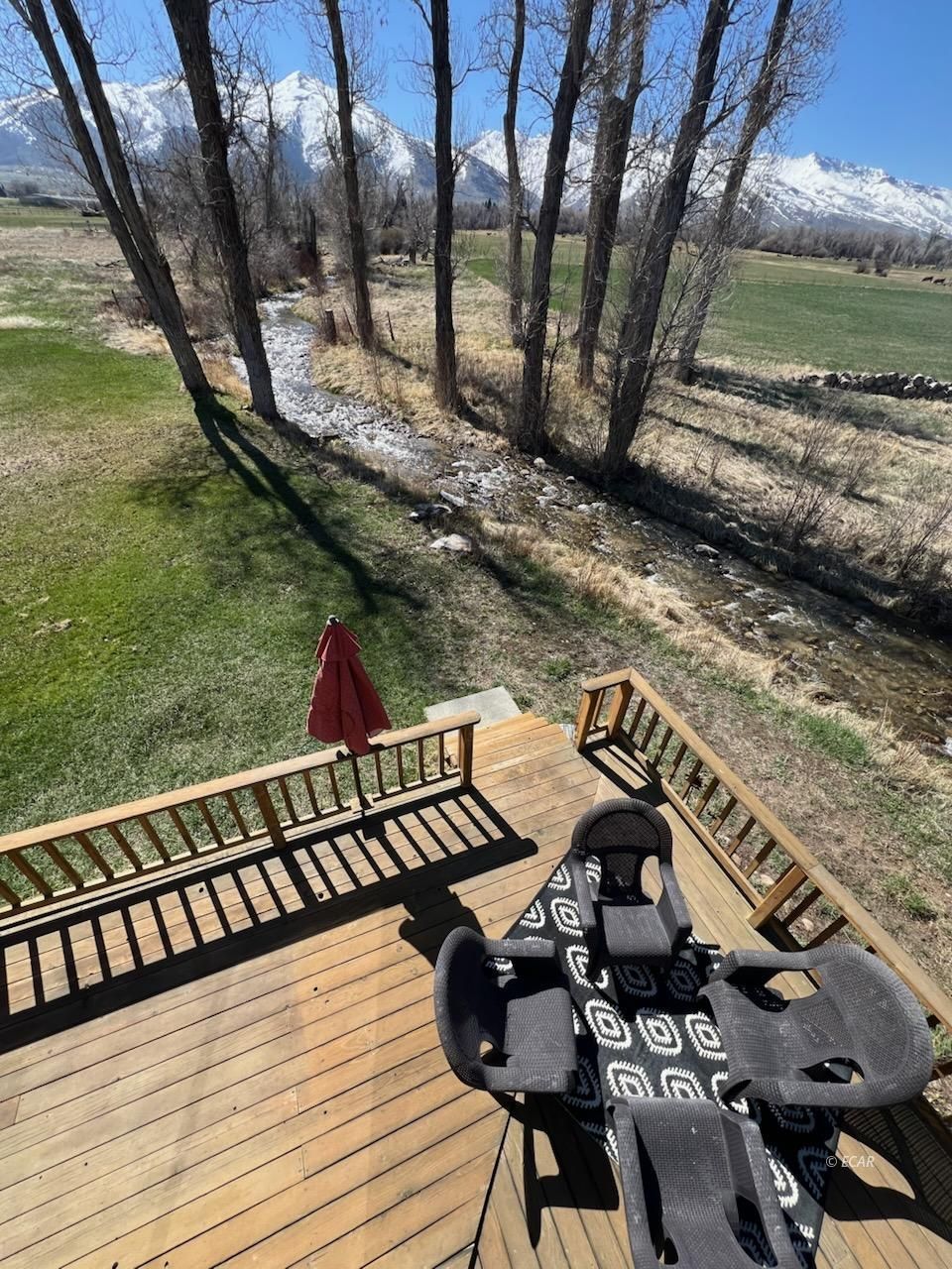 1225 Country Lane Property Photo 19