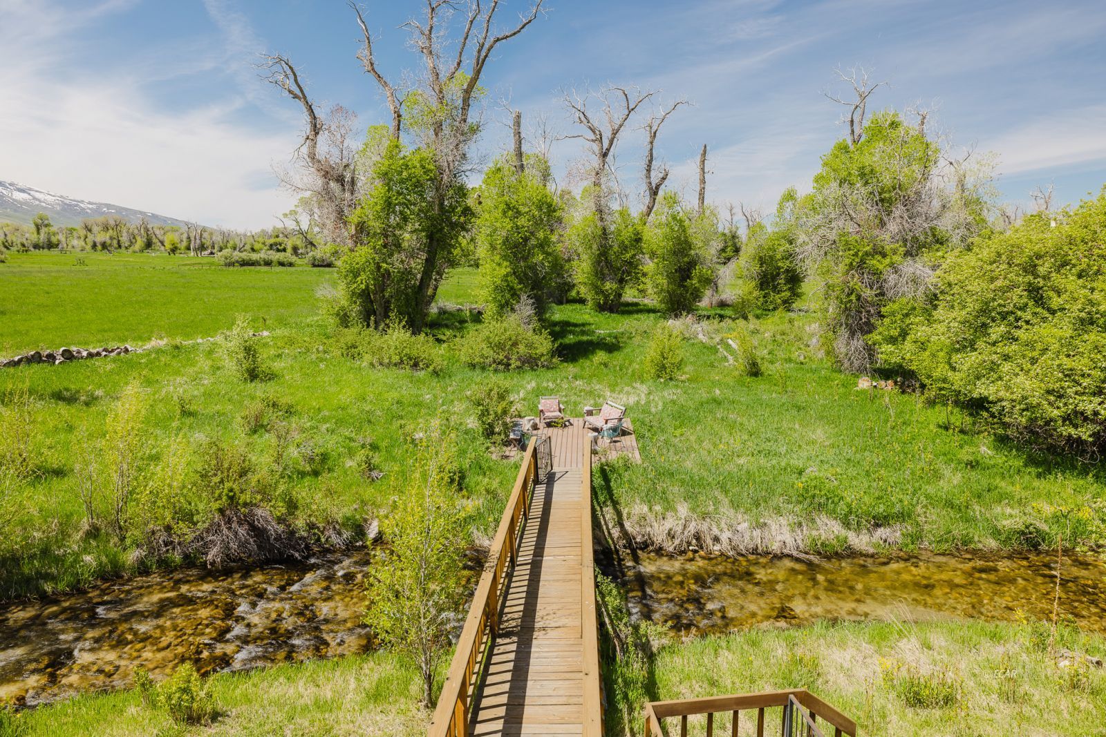 1225 Country Lane Property Photo 28