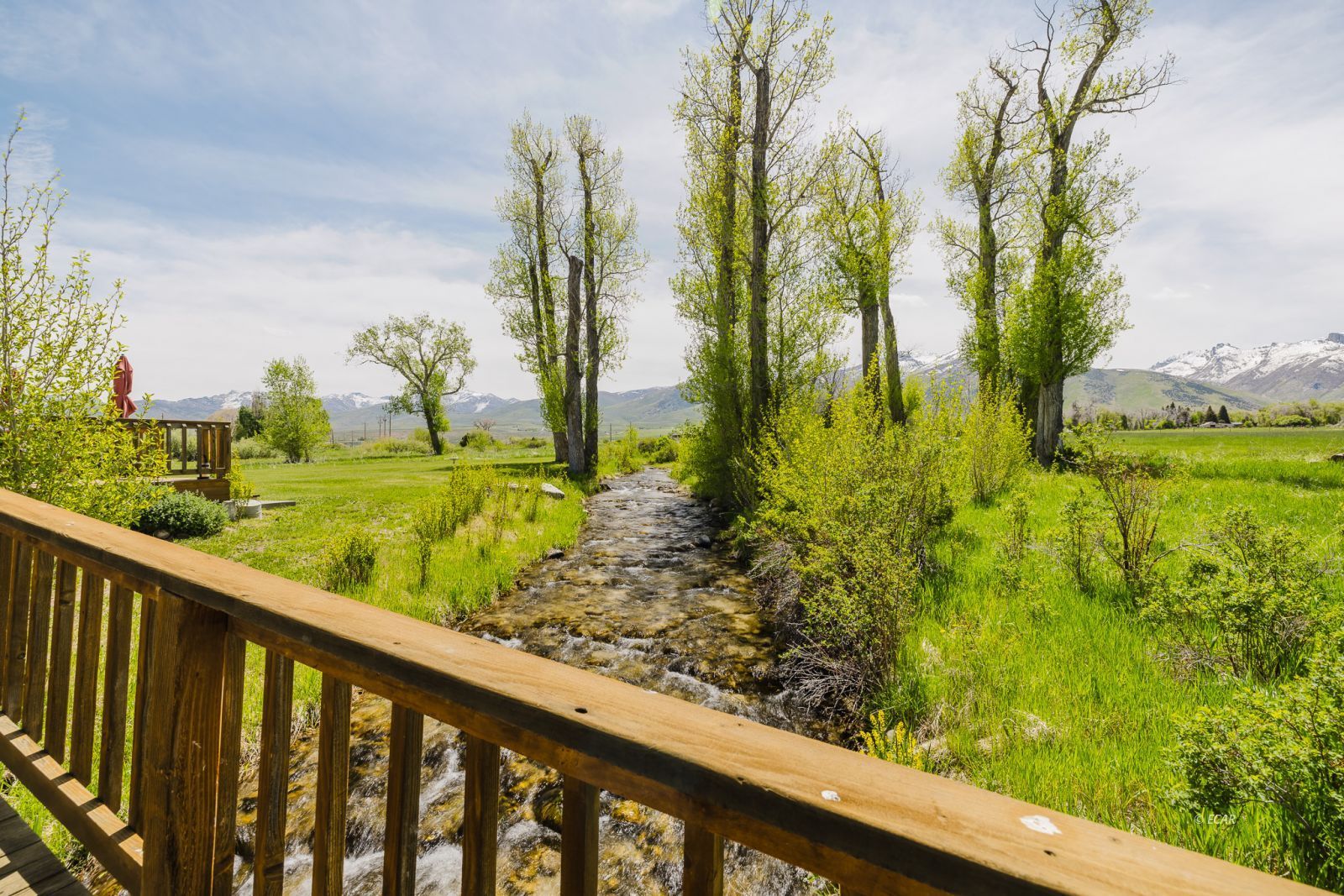 1225 Country Lane Property Photo 29