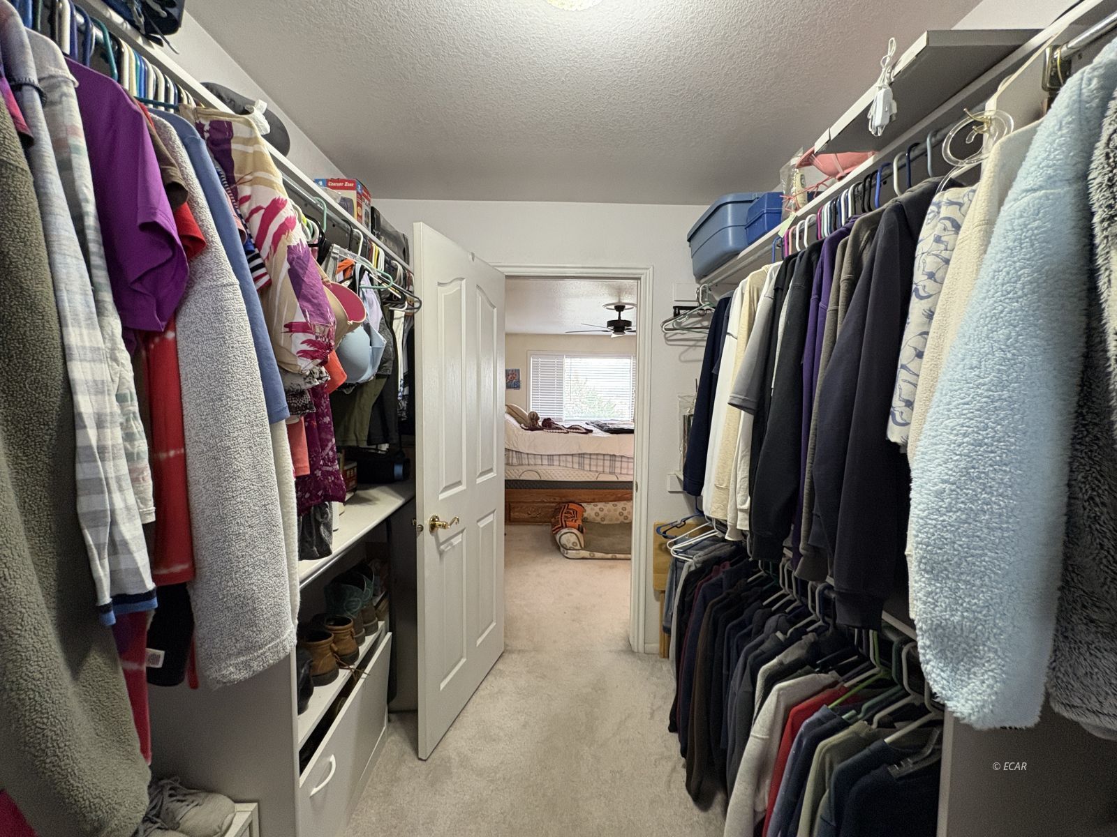 360 Blakeland Drive Property Photo 28