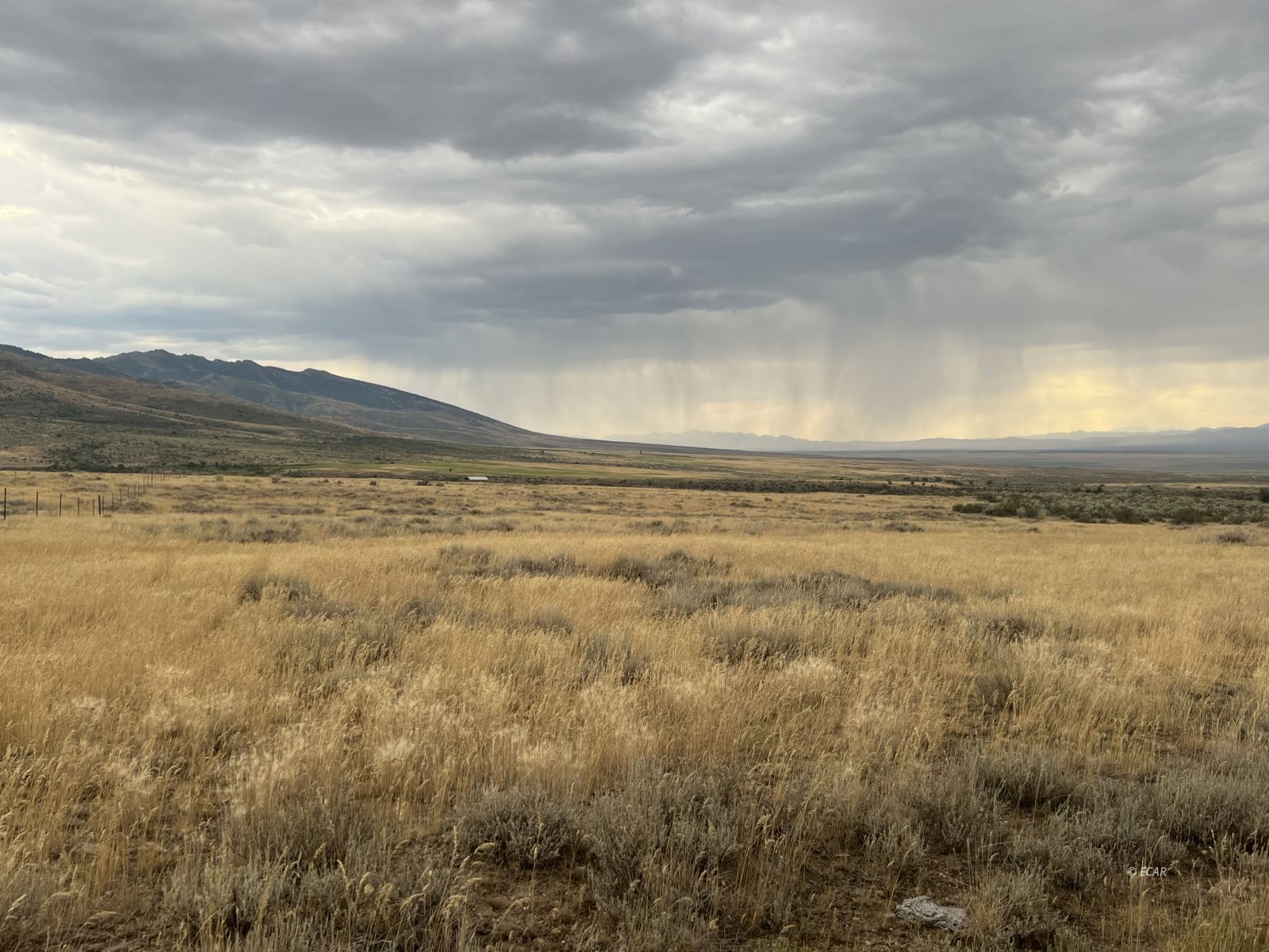 Smith Creek Ranch Property Photo 4