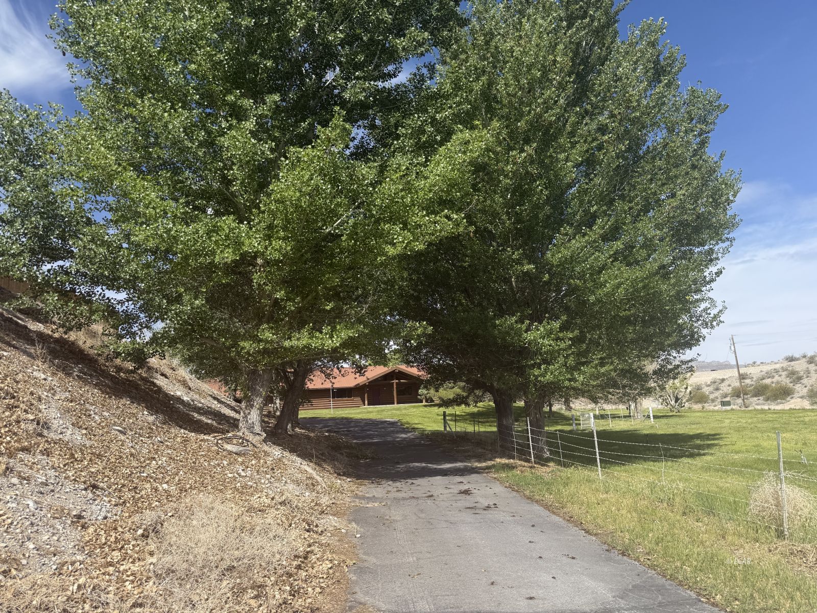 1785 Alamo West Road Property Photo 3