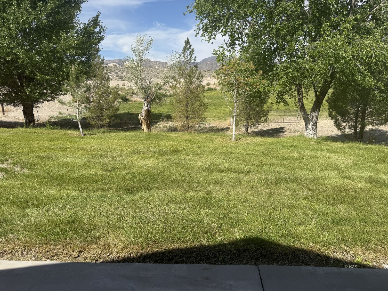 1785 Alamo West Road Property Photo 32