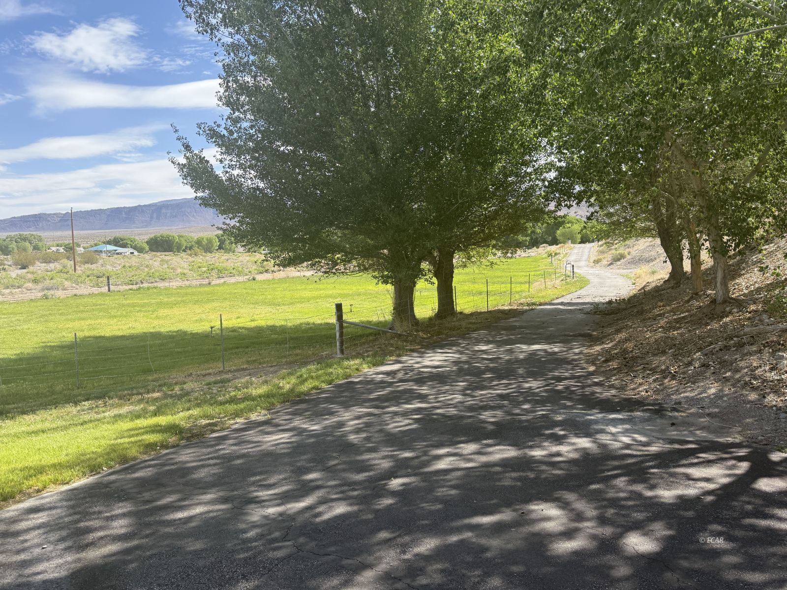 1785 Alamo West Road Property Photo 33