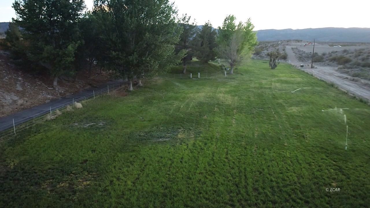 1785 Alamo West Road Property Photo 36