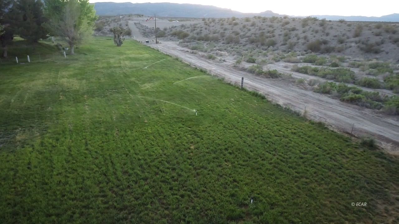 1785 Alamo West Road Property Photo 37