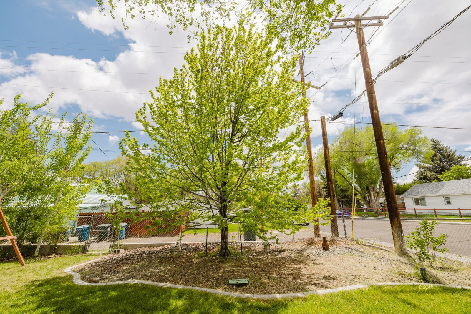 1476 4th Street Property Photo 47