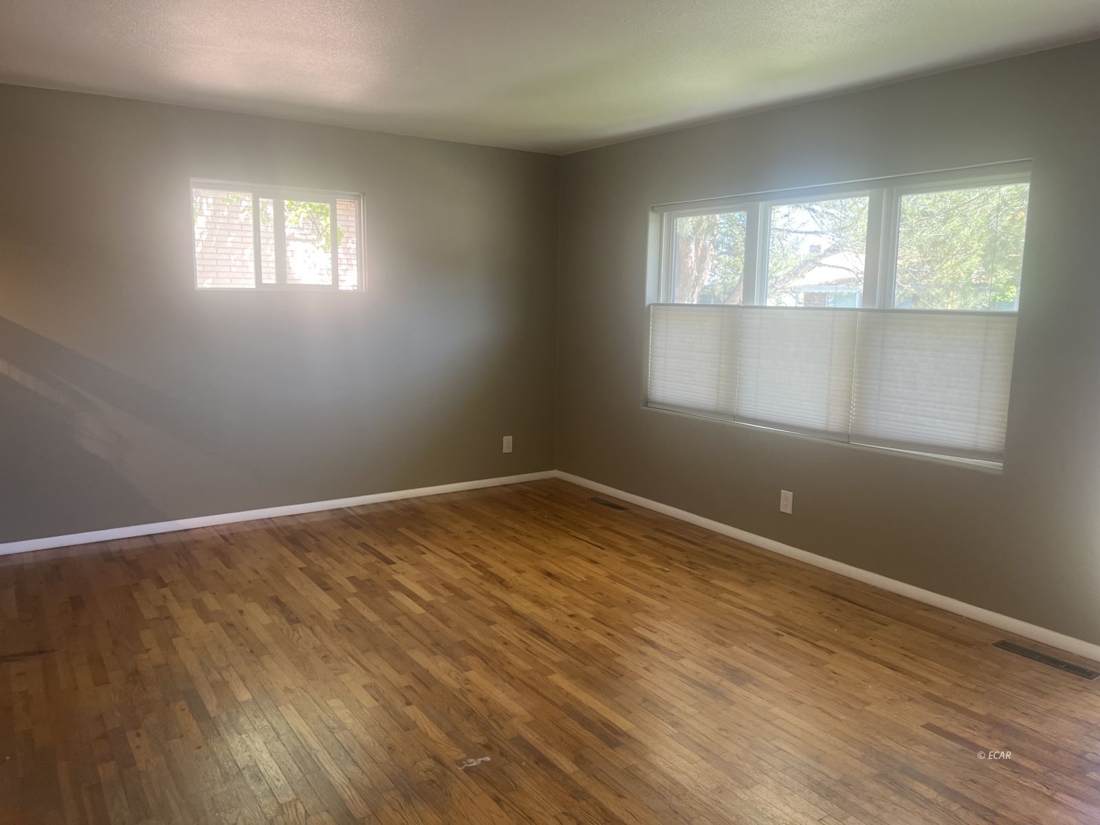 154 W Maple Street Property Photo 39