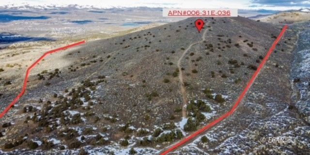 3626346 Property Photo 4