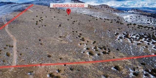 3626346 Property Photo 5