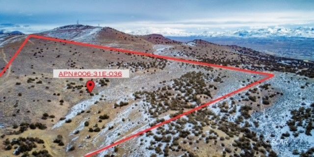 3626346 Property Photo 6