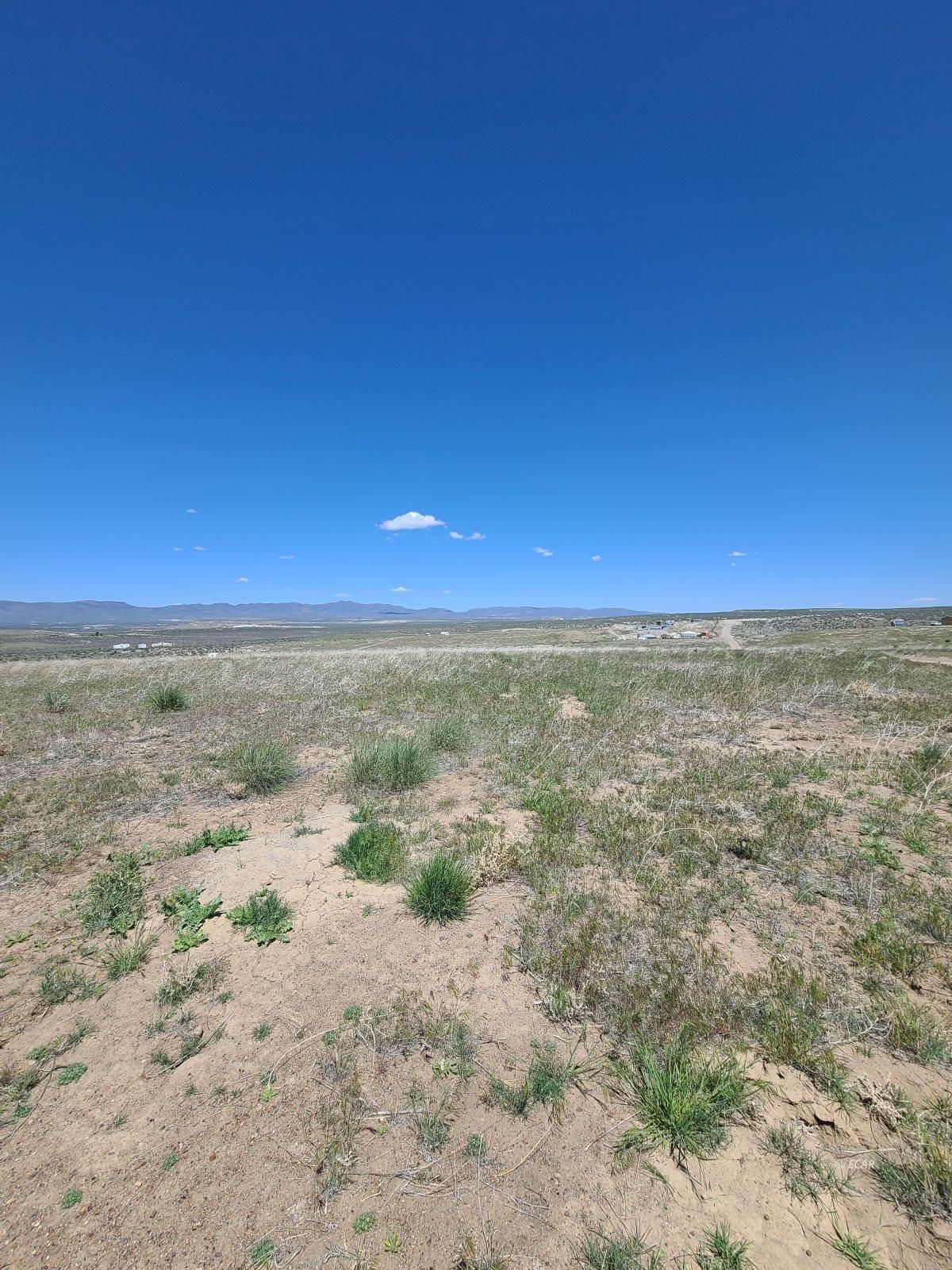 Tbd Jefferson Avenue Property Photo 2