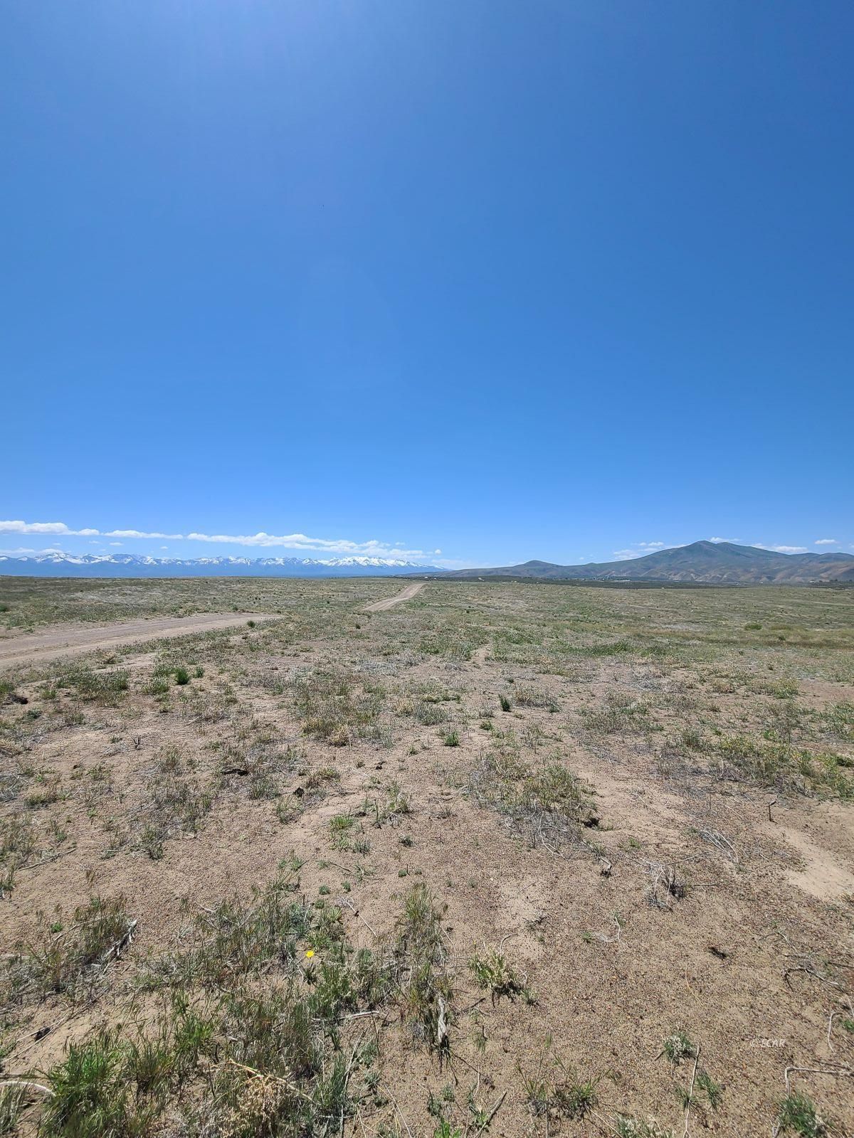 Tbd Jefferson Avenue Property Photo 3