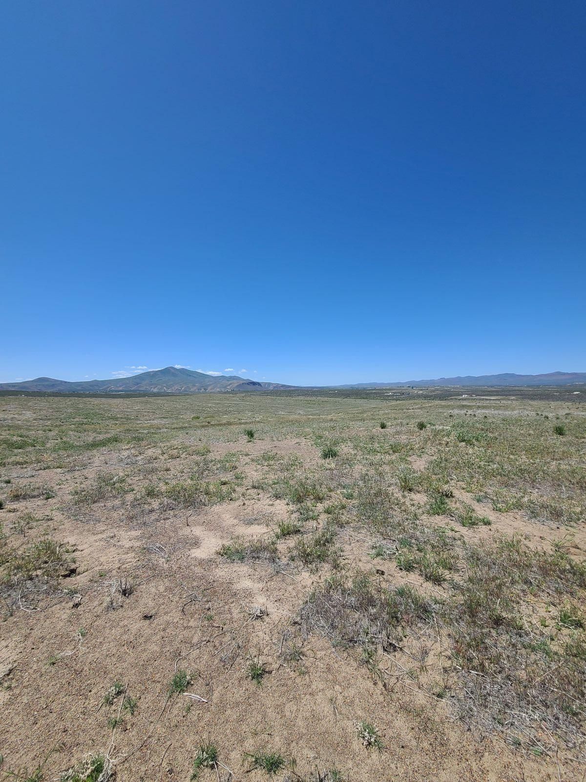 Tbd Jefferson Avenue Property Photo 4