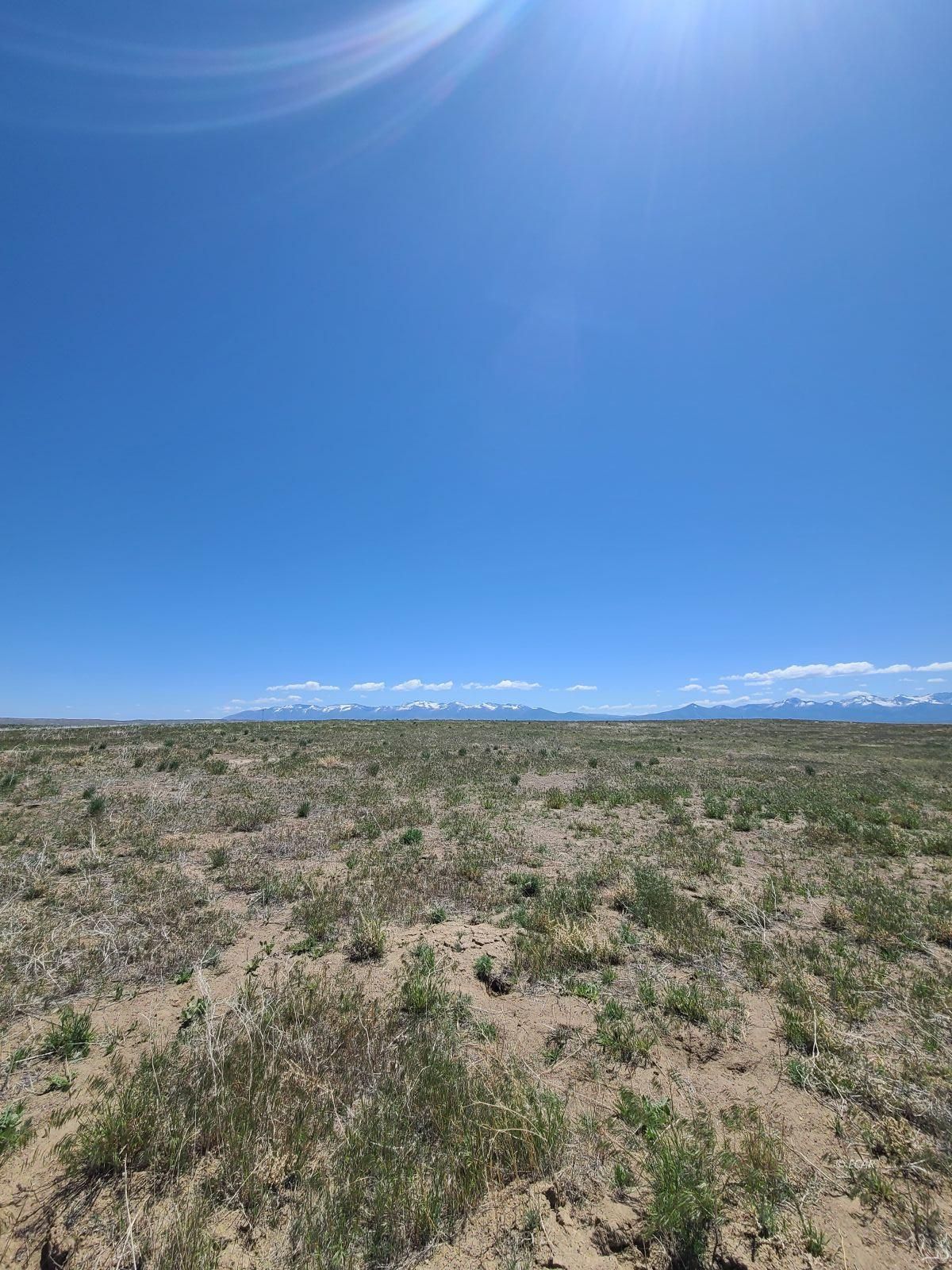 Tbd Jefferson Avenue Property Photo 5