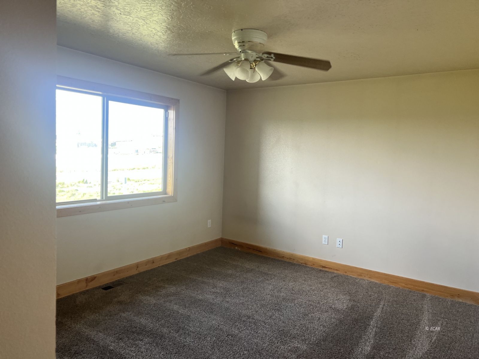 254 Springfield Parkway Property Photo 12