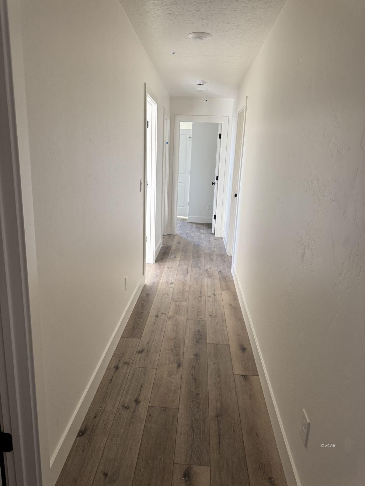 1263 Primrose Lane Property Photo 9