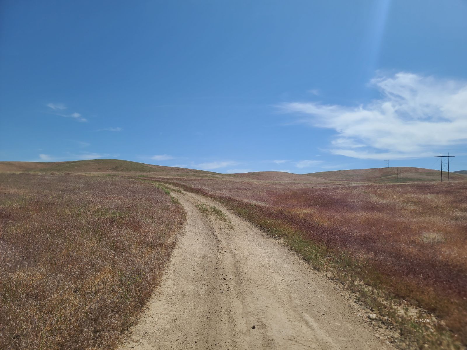 1055 Willow Corral Pass Road Property Photo 15