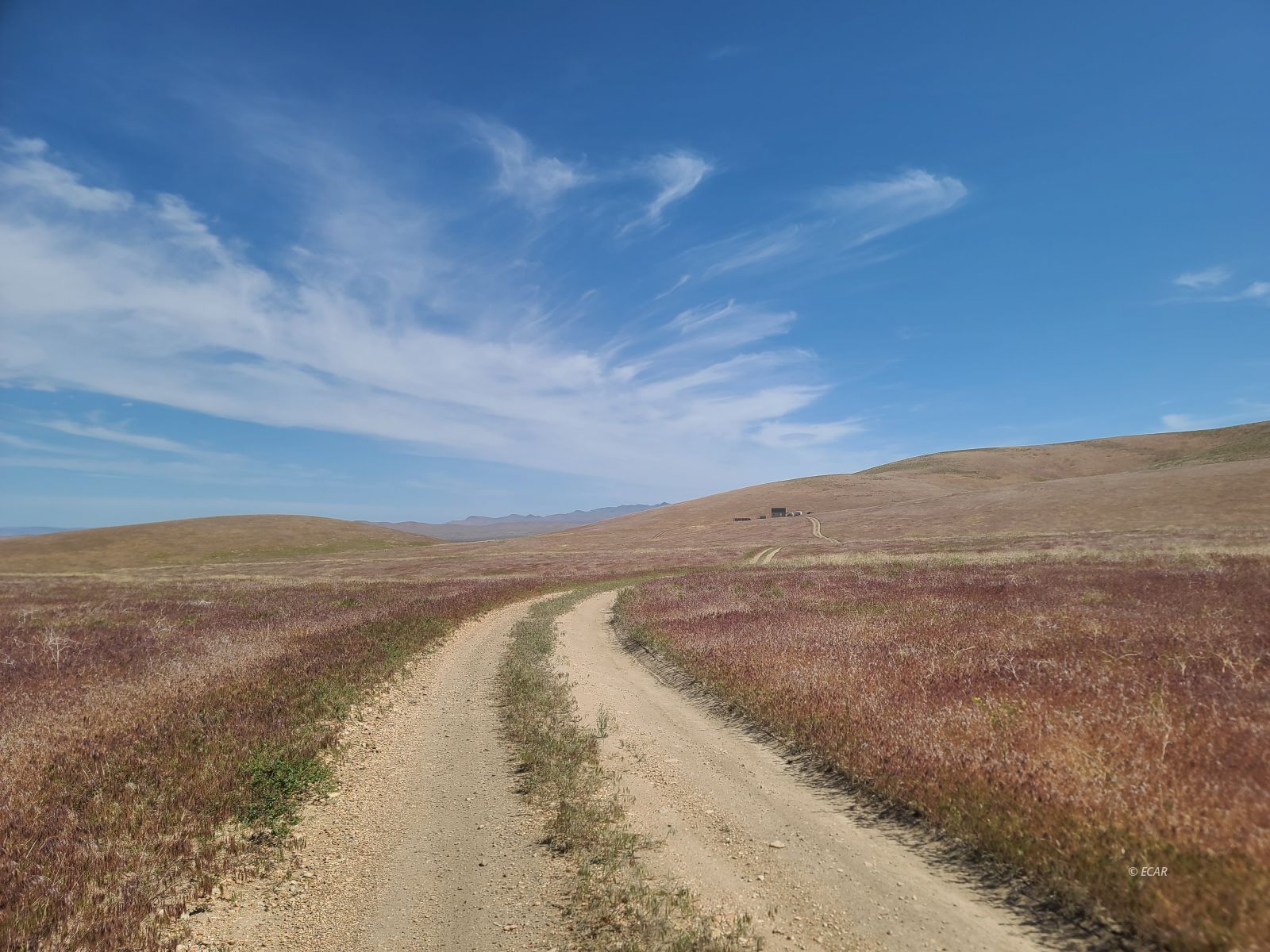 1055 Willow Corral Pass Road Property Photo 16