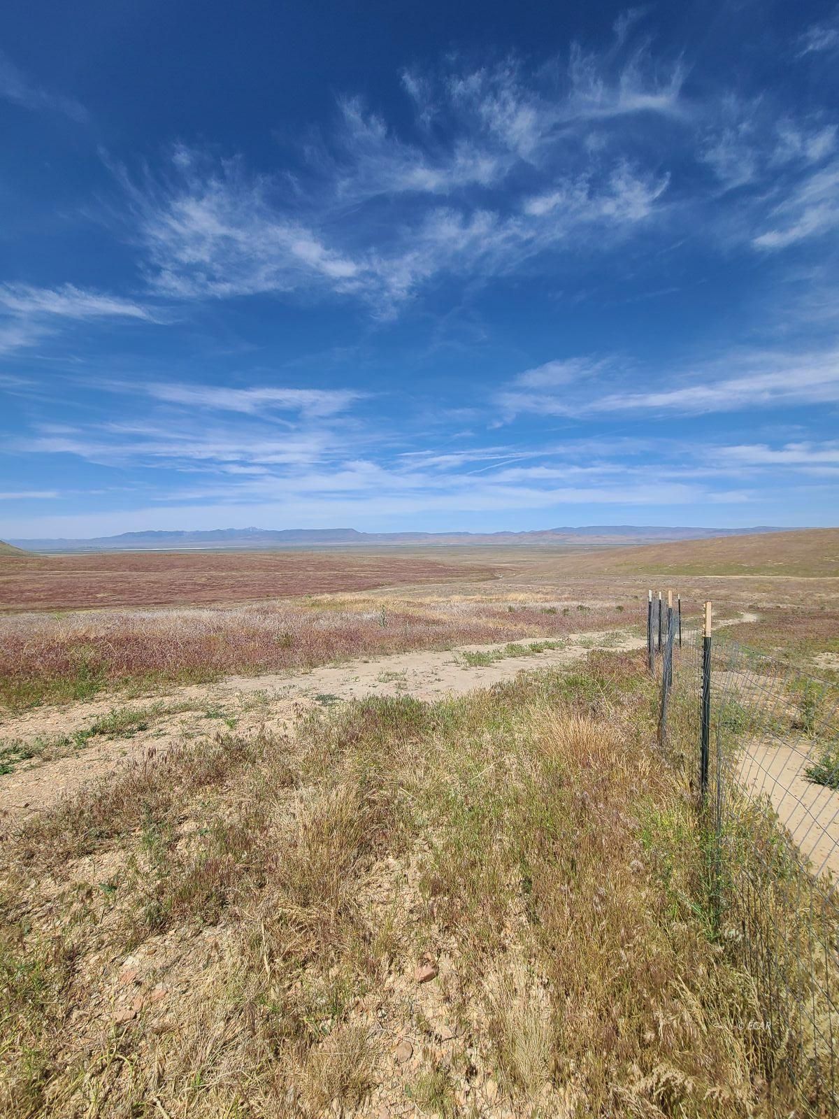 1055 Willow Corral Pass Road Property Photo 27