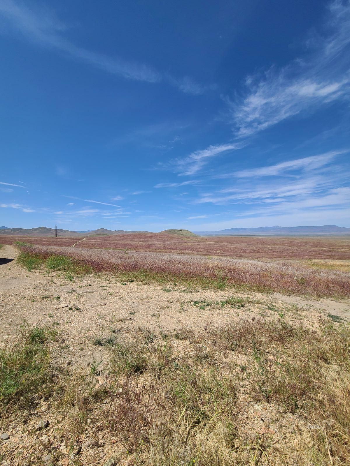 1055 Willow Corral Pass Road Property Photo 28