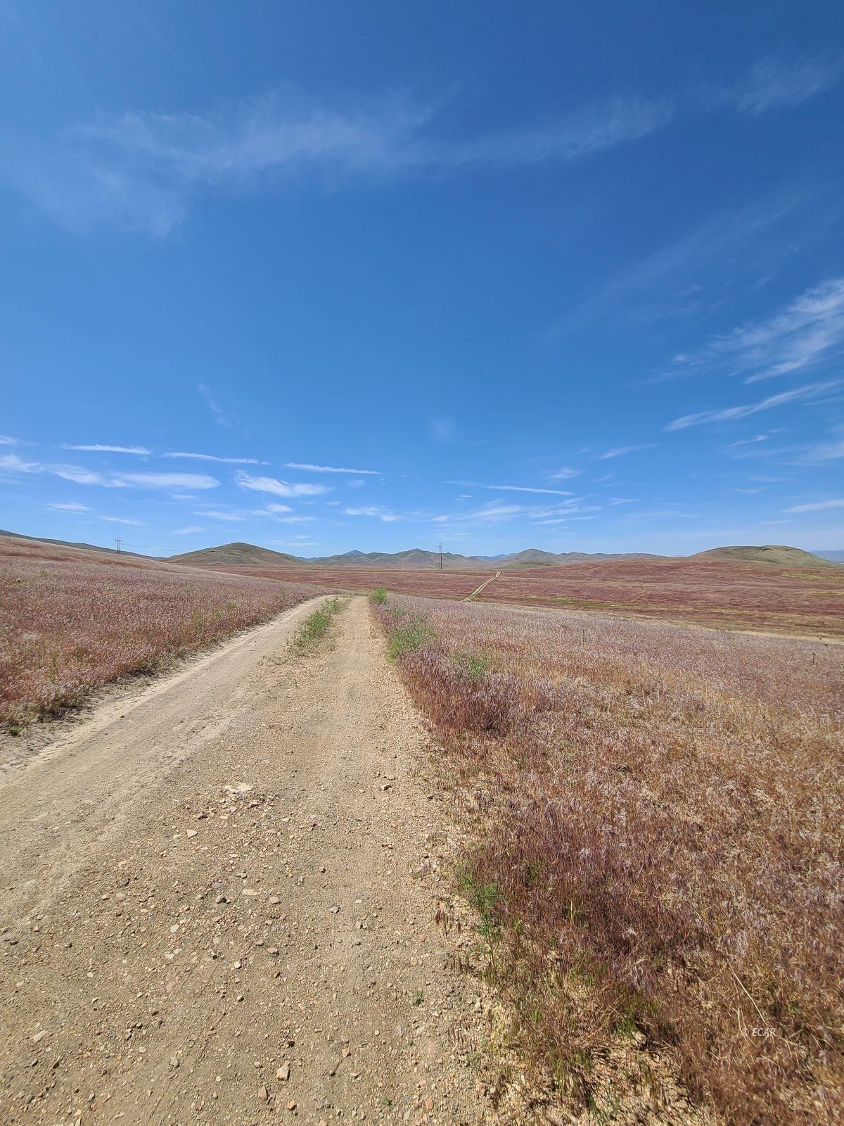 1055 Willow Corral Pass Road Property Photo 29