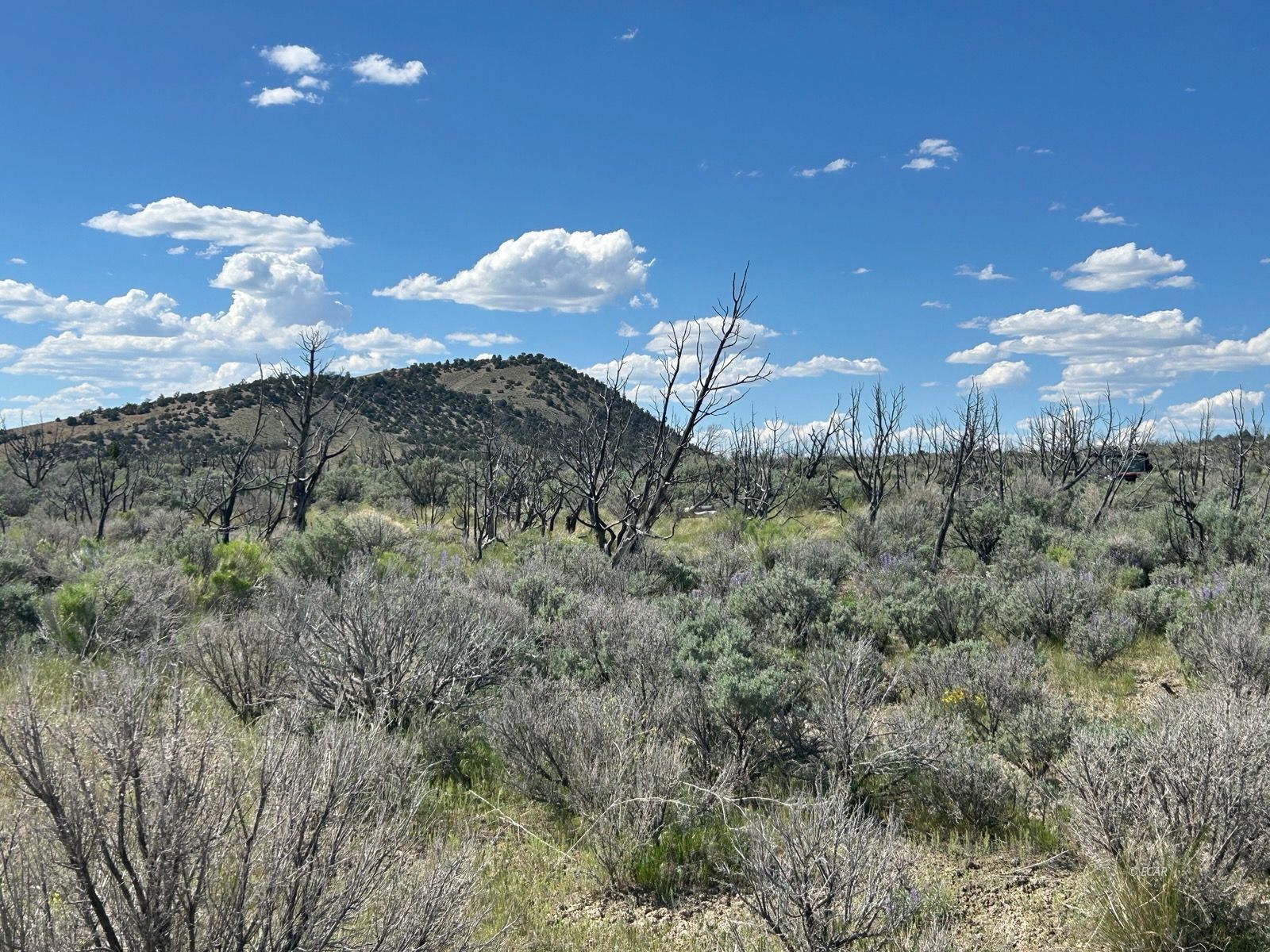 3626388 Property Photo 2